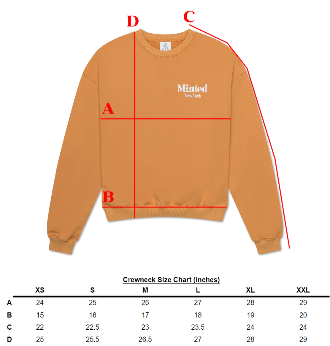 Washed Embroidered Crewneck - Image 6